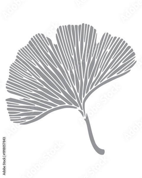 Obraz Ginkgo leaf outline