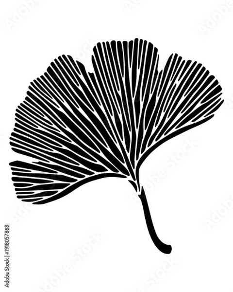 Obraz Ginkgo Leaf Silhouette