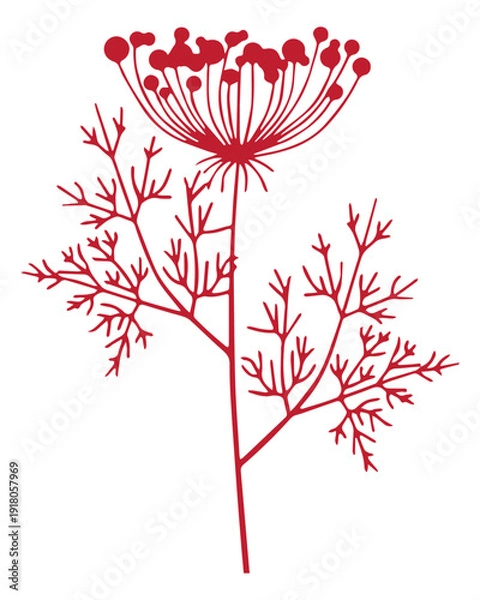 Obraz Red Dill Herb Botanical Icon