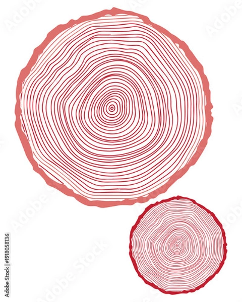 Fototapeta Tree Rings Illustration