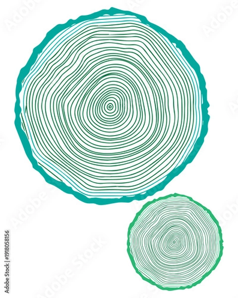 Obraz Tree Rings Illustration