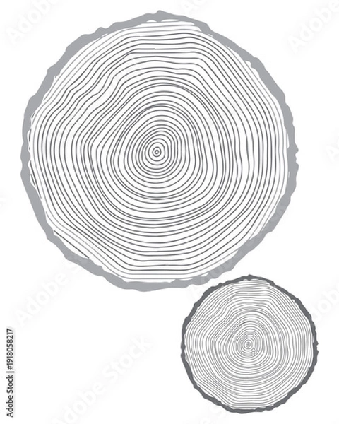 Fototapeta Tree Rings Background