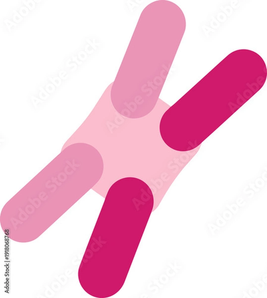 Obraz Modern abstract pink shapes design element for creative projects