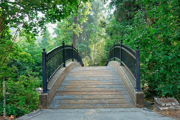 Obraz Łukowy most dla pieszych prowadzący przez zalesiony park.