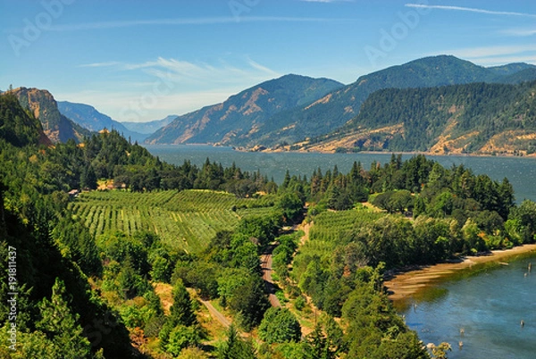 Obraz Looking west down t the Columbia River in Oregon near Hood River.