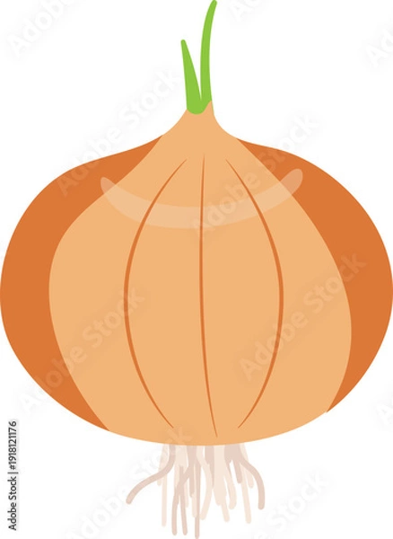 Fototapeta 건강하고 신선한 음식재료인 양파