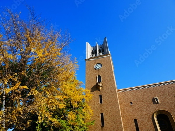 Fototapeta 大隈庭園