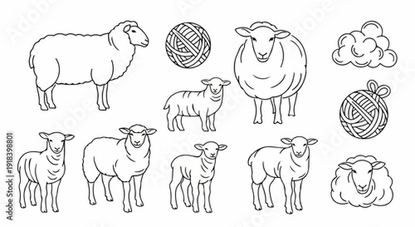 Obraz 白い背景に描かれた、さまざまなポーズの羊、子羊、毛糸玉、そしてふわふわした雲のような毛の形を含む、家畜の羊とその製品を表すベクター線画イラストコレクション。