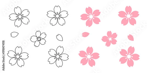 Fototapeta 桜の花と花びらのイラストセット（カラーと線画のバリエーション）