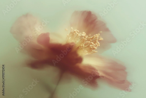 Obraz 花, 背景素材, 抽象, ニュアンス, シック, テクスチャ, 植物, ボタニカル, 背景, 幻想的, エレガント, コピースペース, アンティーク, 綺麗, 柔らかい, 光, シャドウ, 質感, くすみカラー, モダン, デザイン素材, ラグジュアリー, 芸術的, 壁紙, インテリア, ブランディング, 広告素材, ミニマリズム, 洗練, 繊細, 儚い, 癒し, ウェディング, ライフスタイル,