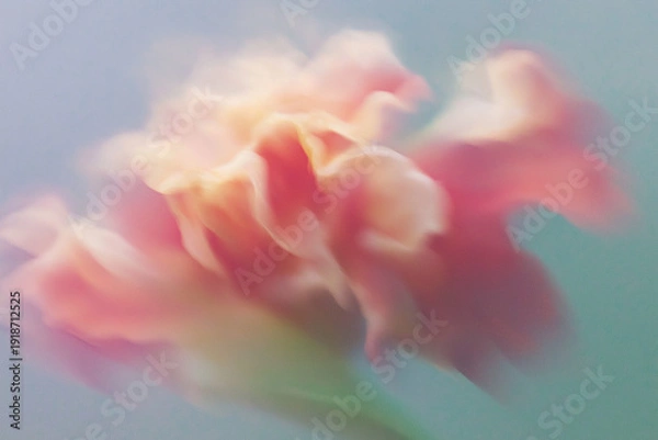 Obraz 花, 背景素材, 抽象, ニュアンス, シック, テクスチャ, 植物, ボタニカル, 背景, 幻想的, エレガント, コピースペース, アンティーク, 綺麗, 柔らかい, 光, シャドウ, 質感, くすみカラー, モダン, デザイン素材, ラグジュアリー, 芸術的, 壁紙, インテリア, ブランディング, 広告素材, ミニマリズム, 洗練, 繊細, 儚い, 癒し, ウェディング, ライフスタイル,