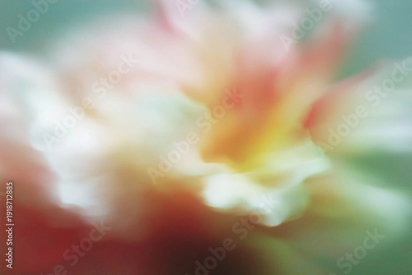 Obraz 花, 背景素材, 抽象, ニュアンス, シック, テクスチャ, 植物, ボタニカル, 背景, 幻想的, エレガント, コピースペース, アンティーク, 綺麗, 柔らかい, 光, シャドウ, 質感, くすみカラー, モダン, デザイン素材, ラグジュアリー, 芸術的, 壁紙, インテリア, ブランディング, 広告素材, ミニマリズム, 洗練, 繊細, 儚い, 癒し, ウェディング, ライフスタイル,