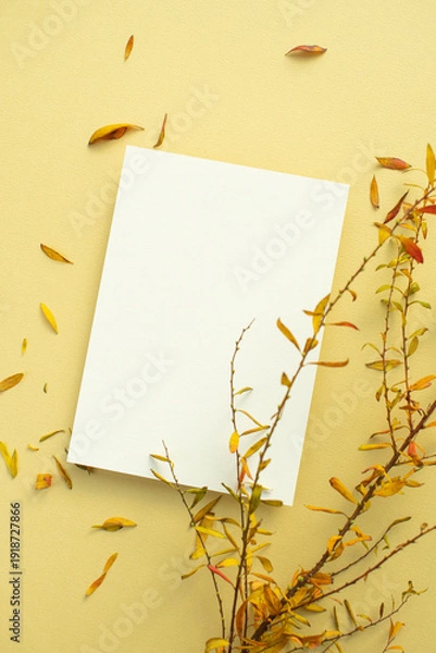 Obraz 작은 잎 식물과 카드 목업