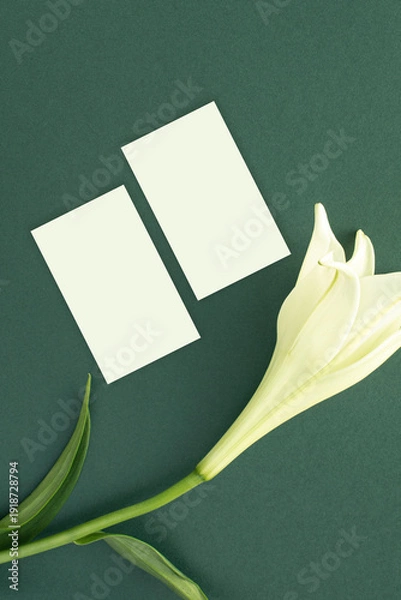 Obraz 백합과 명함 목업