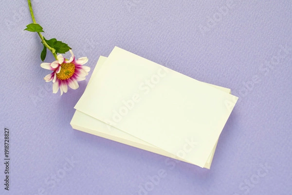 Obraz 국화와 명함 목업