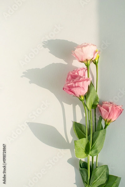 Obraz 꽃장식과 그림자와 카피공간