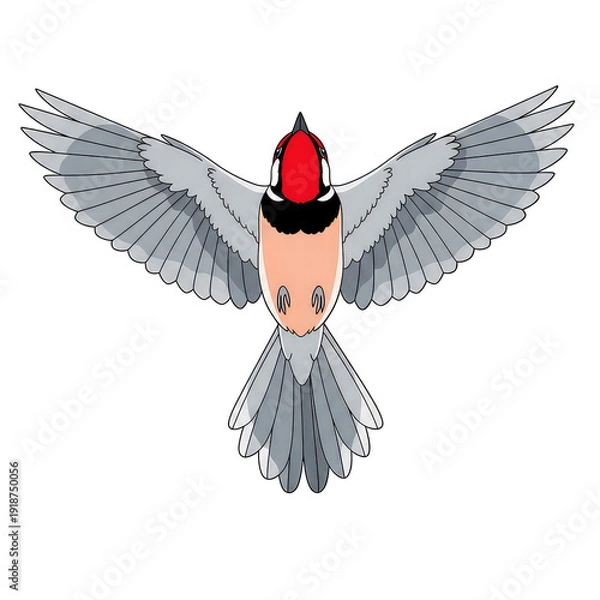 Obraz Top View Bird Illustration with Spread Wings