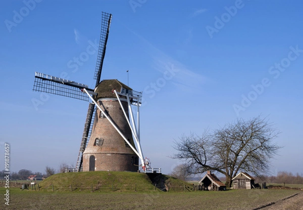 Fototapeta The Van Pieper windmill
