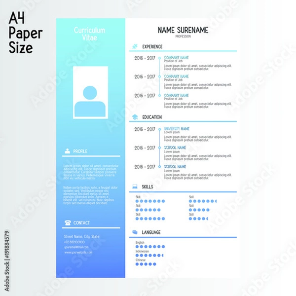 Obraz Professional CV Template