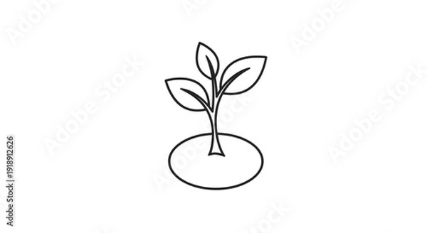 Obraz Minimal Development Concept Botanical Outline