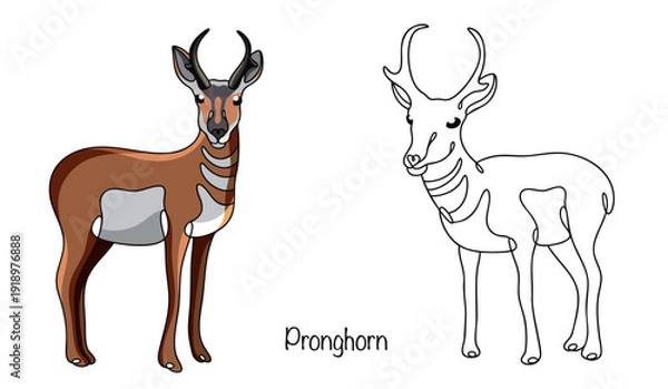 Obraz Pronghorn