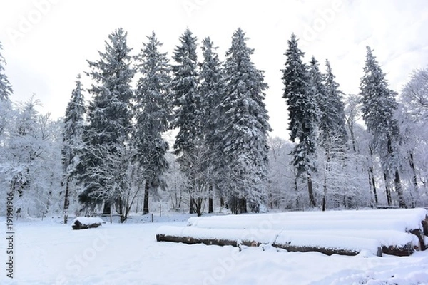 Obraz nature enneiger 