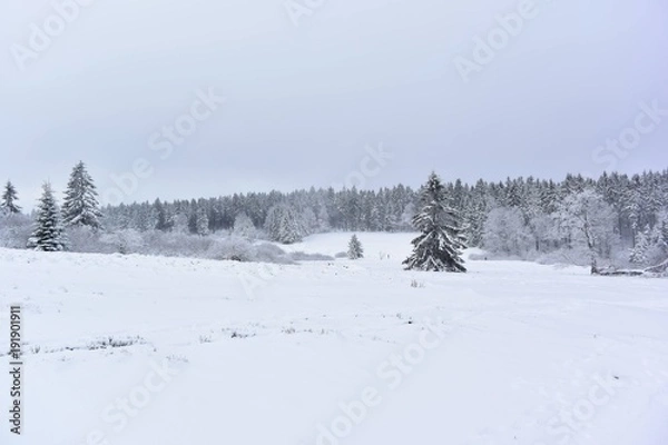 Obraz nature enneiger 