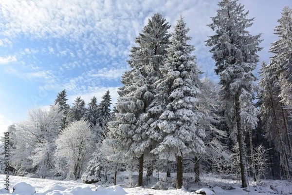 Obraz nature enneiger 