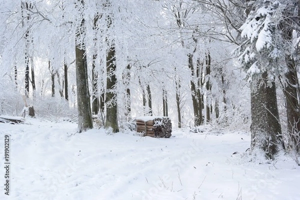 Obraz nature enneiger 