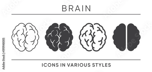 Obraz Human Brain - Multi-style Icons Set for Supplements