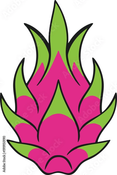 Obraz Dragon Fruit Illustration