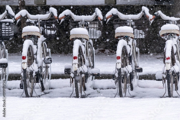 Obraz 公園の駐輪場の自転車に降り積もる雪