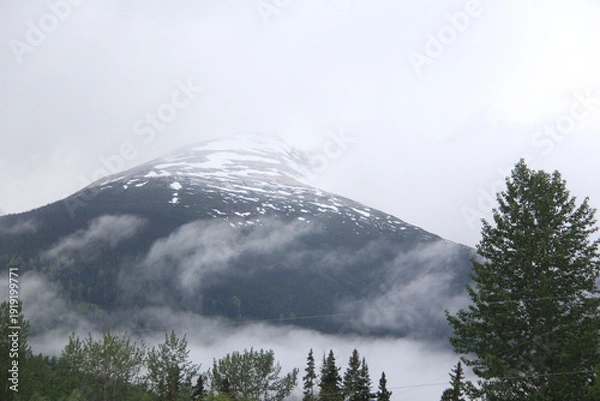 Obraz Late Night Drive Through Jasper Alberta