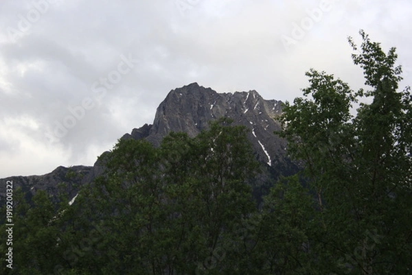 Obraz Late Night Drive Through Jasper Alberta