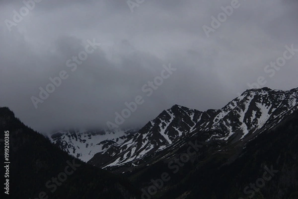 Obraz Late Night Drive Through Jasper Alberta
