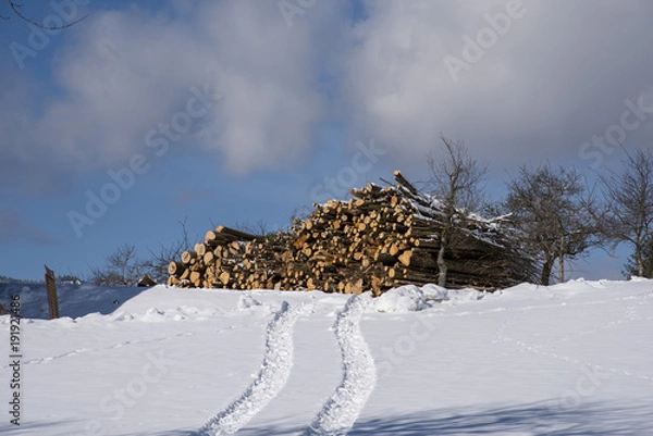 Obraz Holzstoss im Schnee