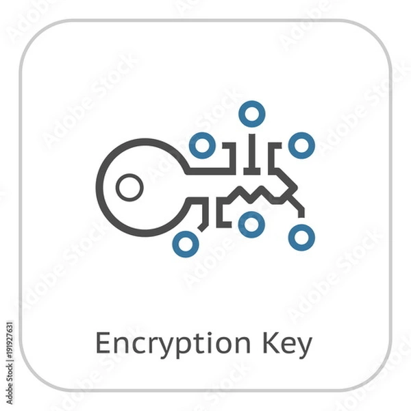 Obraz Encryption Key Icon.