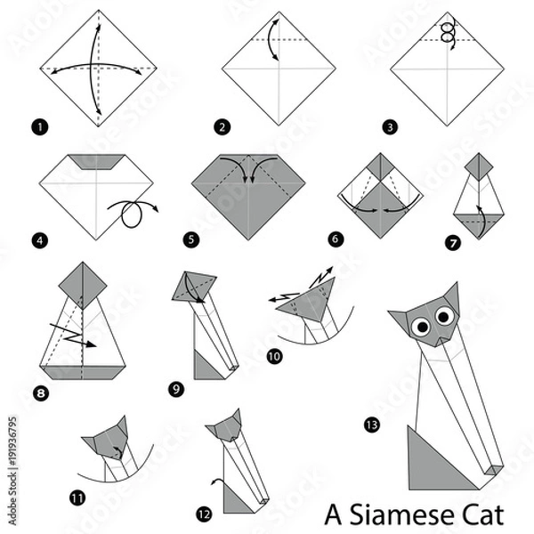 Obraz step by step instructions how to make origami A Siamese Cat