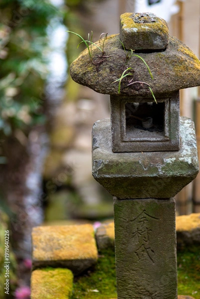 Obraz 鎌倉26216　杉本寺4　苔