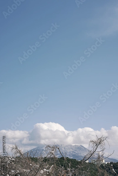 Obraz 晴空の下に見える、雪化粧の桜島