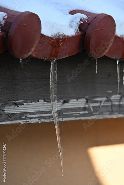 Obraz 伸びる氷柱