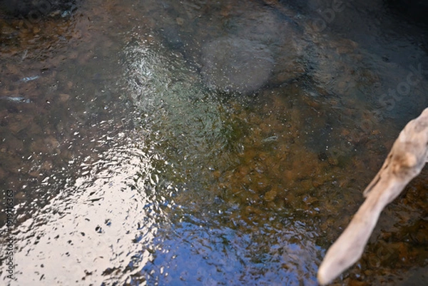 Obraz 表面が凍るメダカ水槽