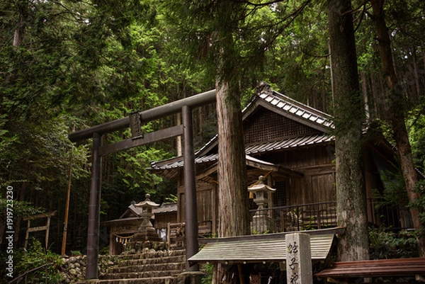 Obraz 浜松市天竜区春野町にある蛭子神明神社
