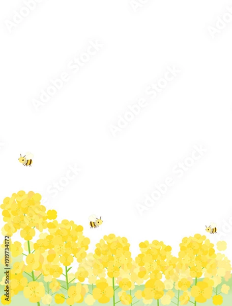 Obraz 蜜蜂が飛んでいる菜の花畑をイメージしたイラスト　縦型バージョン