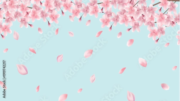 Obraz 桜　春　風景　背景　