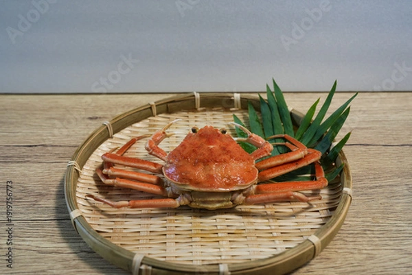 Obraz 兵庫県産松葉ガニの雌　セコガニ