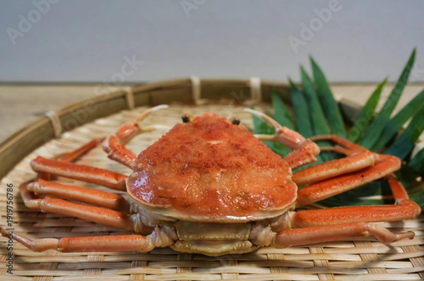 Obraz 濃厚な内子が魅力の浜坂産セコガニ