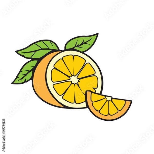 Obraz Make a Professional Orange Fruit Vector