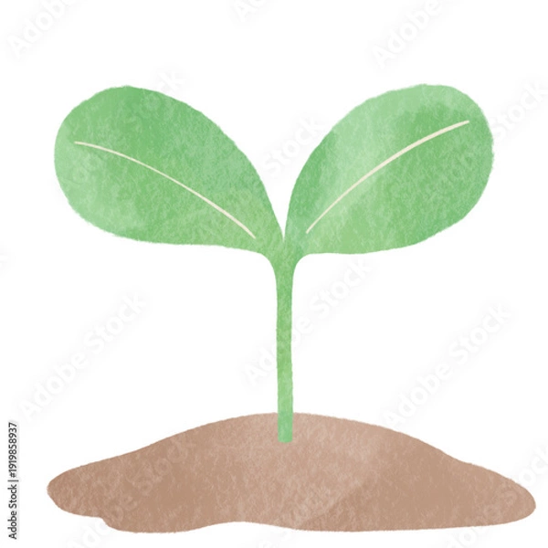 Obraz 双葉の新芽を描いたエコイラスト｜植物・成長・環境保護を表現するナチュラルデザイン素材