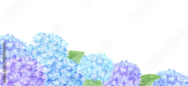 Obraz 水彩で描いた雨粒のあるアジサイ畑